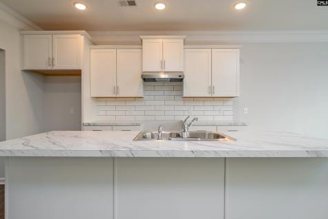 631 Thunder Gulch Avenue Lexington SC 29073