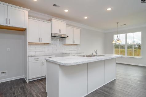 631 Thunder Gulch Avenue Lexington SC 29073