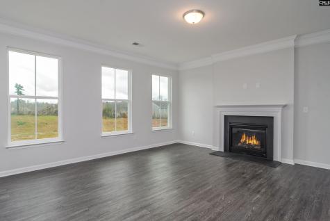 631 Thunder Gulch Avenue Lexington SC 29073