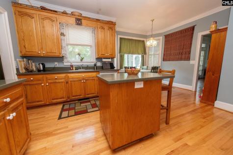 401 Tamwood Circle Cayce SC 29033-0000