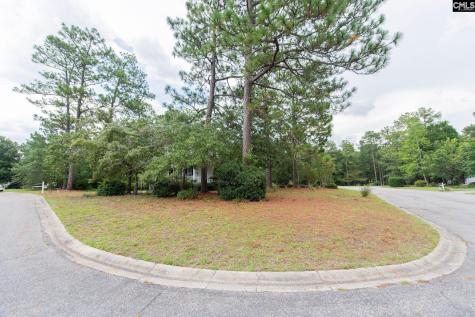 401 Tamwood Circle Cayce SC 29033-0000