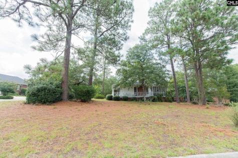 401 Tamwood Circle Cayce SC 29033-0000