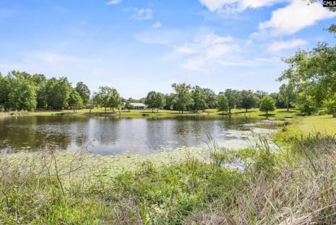 228 Shady Springs Road Prosperity SC 29127