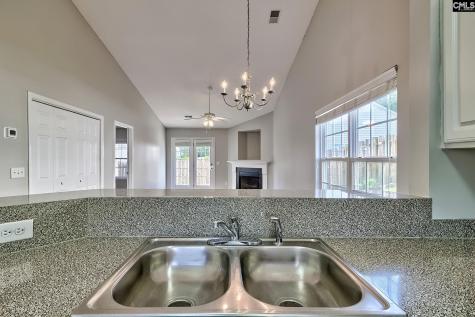 229 Saluda Woods Place West Columbia SC 29169