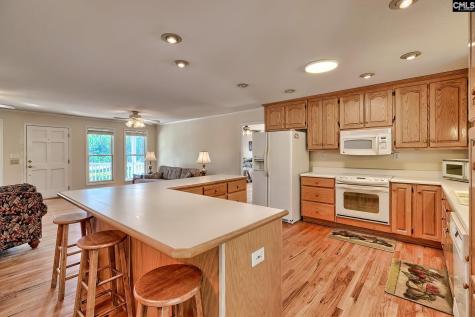 133 Pleasant Home Road Blackville SC 29817