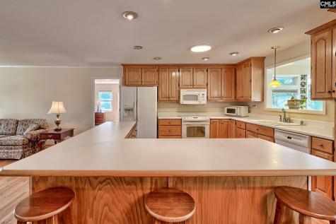 133 Pleasant Home Road Blackville SC 29817