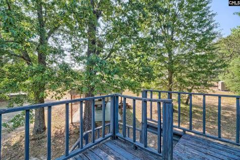 133 Pleasant Home Road Blackville SC 29817