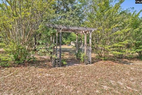 133 Pleasant Home Road Blackville SC 29817