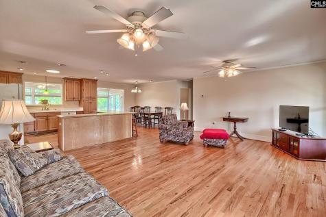 133 Pleasant Home Road Blackville SC 29817