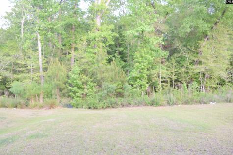 663 Wooster Drive Columbia SC 29223