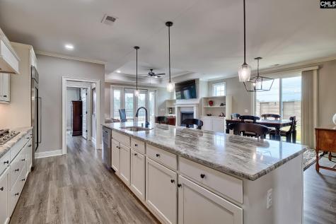 2358 High Bluff Loop Lexington SC 29072