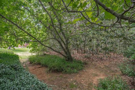 5204 Glenmount Street Columbia SC 29212