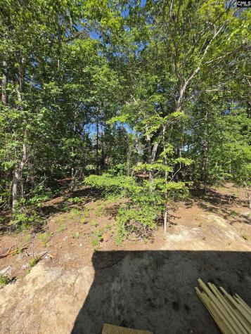 124 Creekside Cottage Court Blythewood SC 29016