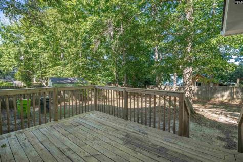 13 Castle Vale Circle Irmo SC 29063