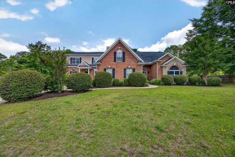 106 Baskin Hills Court Lexington SC 29072-8345