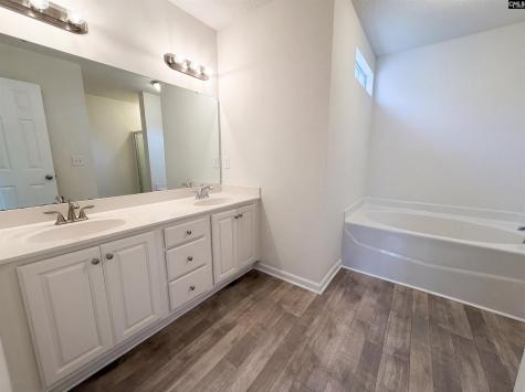 217 Branchview Drive Columbia SC 29229