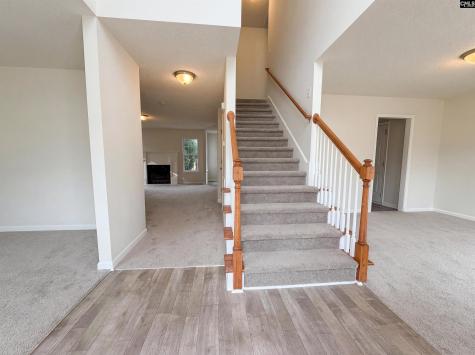 217 Branchview Drive Columbia SC 29229