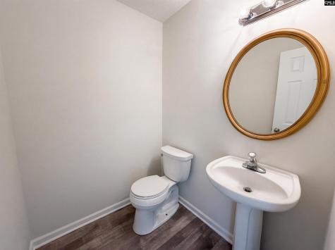 217 Branchview Drive Columbia SC 29229