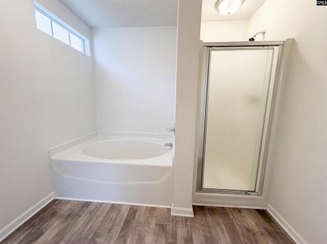 217 Branchview Drive Columbia SC 29229