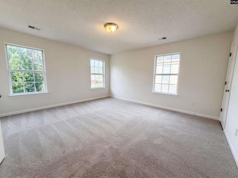 217 Branchview Drive Columbia SC 29229