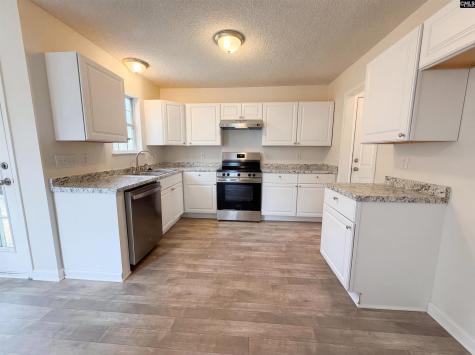 217 Branchview Drive Columbia SC 29229