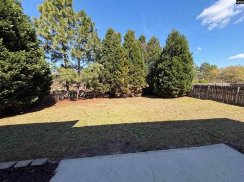 217 Branchview Drive Columbia SC 29229