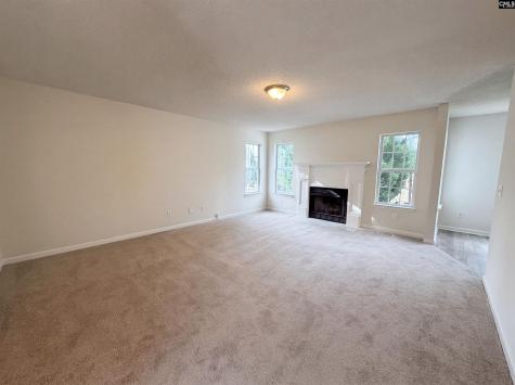 217 Branchview Drive Columbia SC 29229