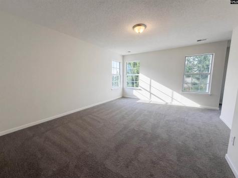 217 Branchview Drive Columbia SC 29229