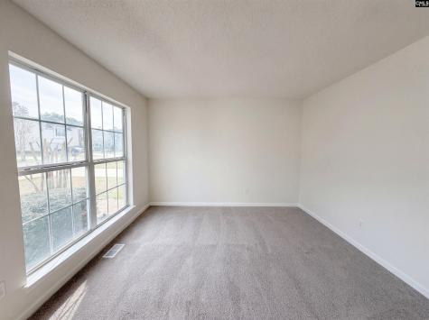 217 Branchview Drive Columbia SC 29229