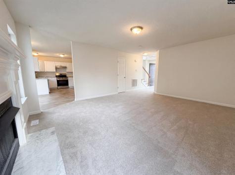 217 Branchview Drive Columbia SC 29229