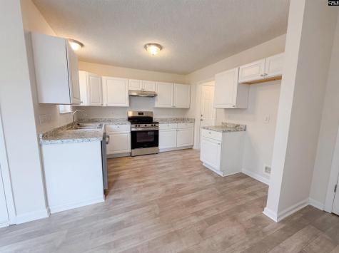 217 Branchview Drive Columbia SC 29229