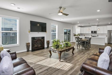 531 Rhine Falls Lane Blythewood SC 29016