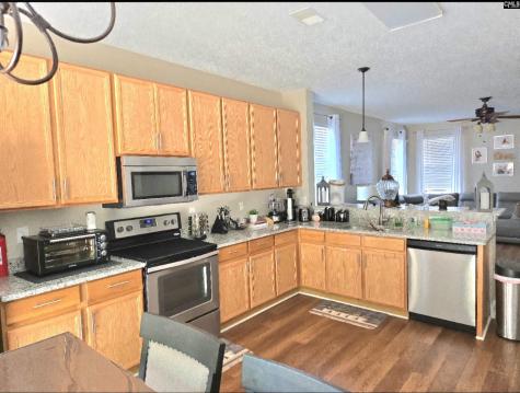237 Wild Olive Drive Columbia SC 29229
