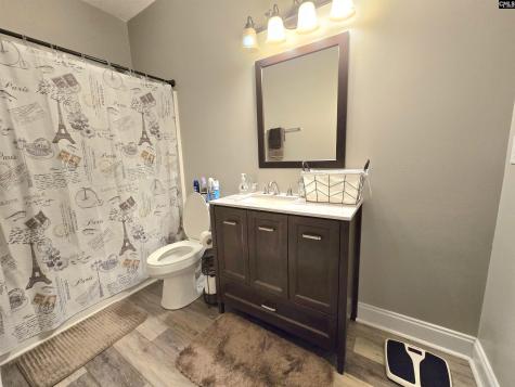 237 Wild Olive Drive Columbia SC 29229