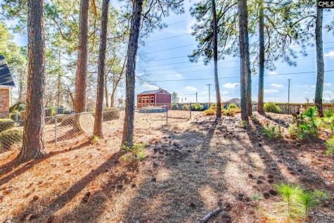 308 Valley Springs Road Columbia SC 29223-6910