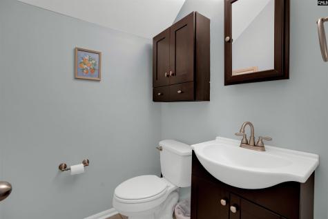 15 Valkyrie Circle Columbia SC 29229-3390