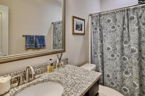 123 Cressingham Court Lexington SC 29072