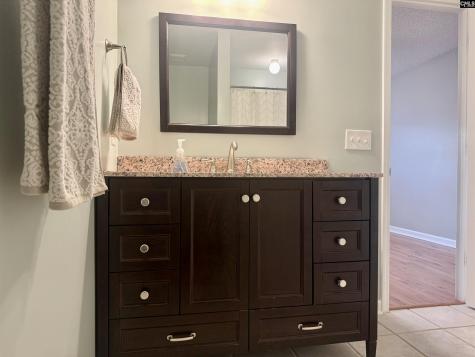 192 Bill Williamson Court Lexington SC 29073-7302