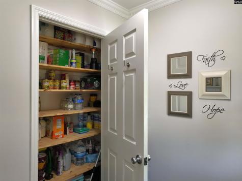 508 Livebark Lane Lexington SC 29073