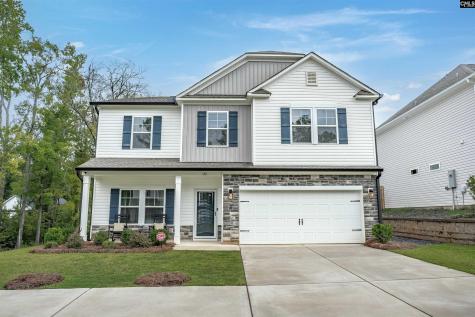132 Irish Setter Street Chapin SC 29036