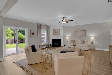 132 Irish Setter Street Chapin SC 29036