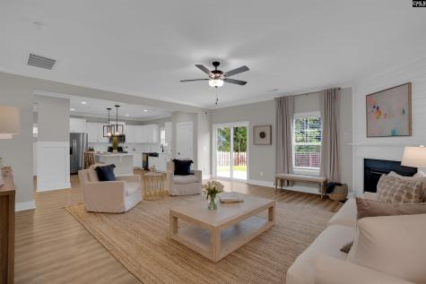 132 Irish Setter Street Chapin SC 29036