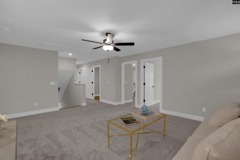 132 Irish Setter Street Chapin SC 29036