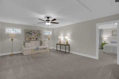 132 Irish Setter Street Chapin SC 29036