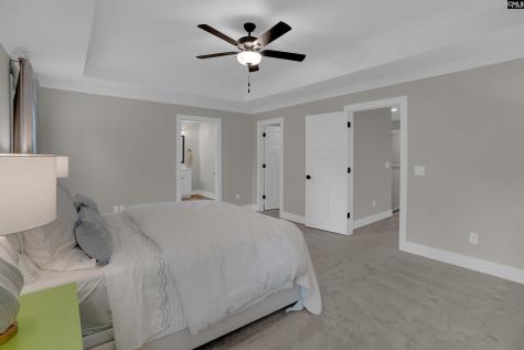 132 Irish Setter Street Chapin SC 29036