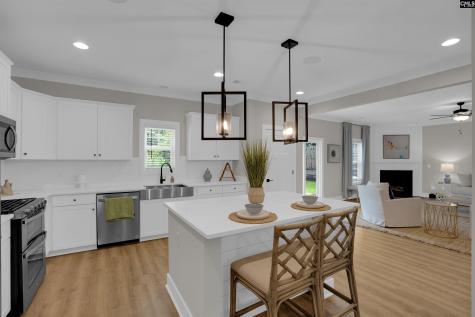 132 Irish Setter Street Chapin SC 29036
