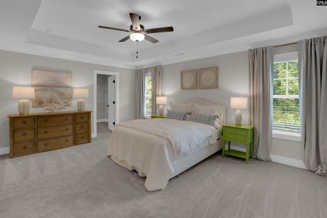 132 Irish Setter Street Chapin SC 29036