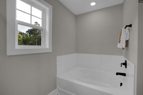 132 Irish Setter Street Chapin SC 29036