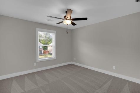 132 Irish Setter Street Chapin SC 29036