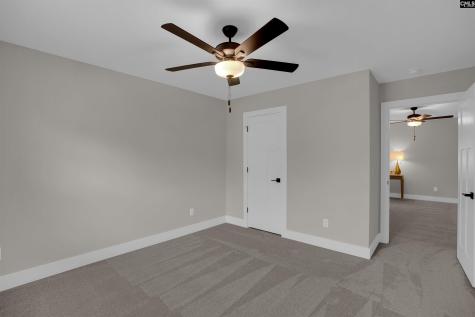 132 Irish Setter Street Chapin SC 29036